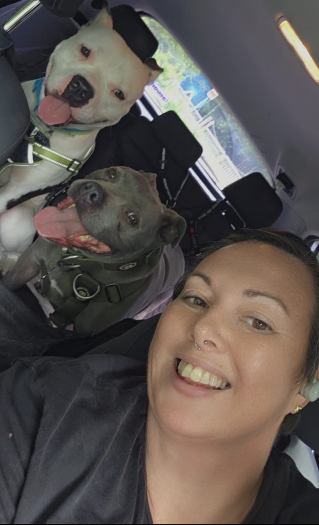 Clare with her two dogs in the back of her car
